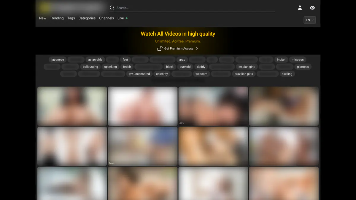 XFantazy Video Downloader screenshot 2