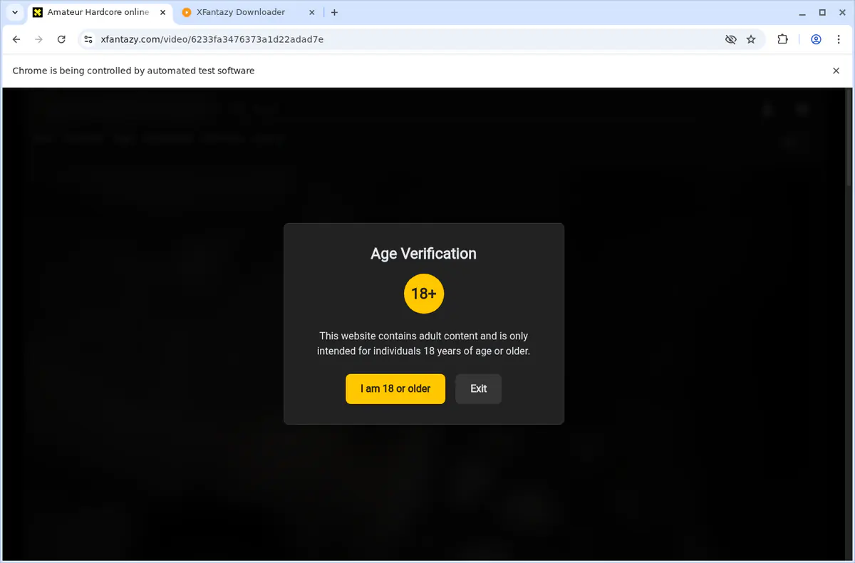 XFantazy Video Downloader screenshot 3