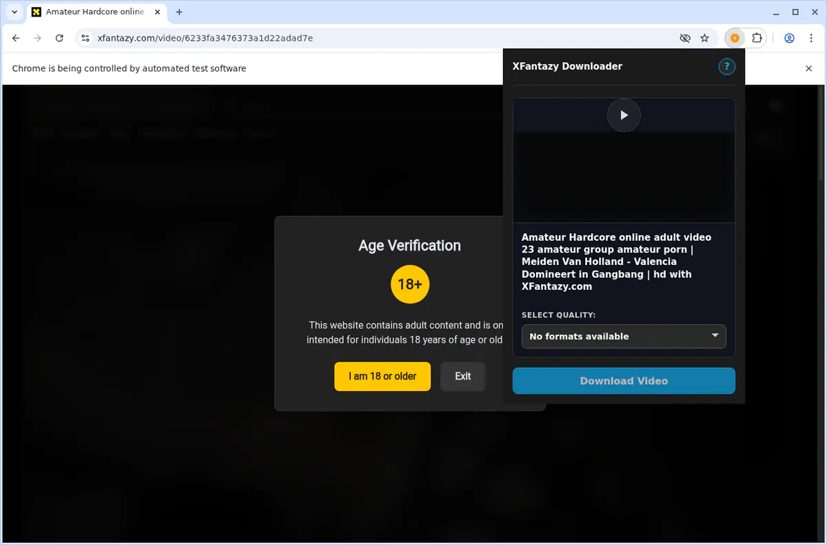 XFantazy Video Downloader screenshot 4