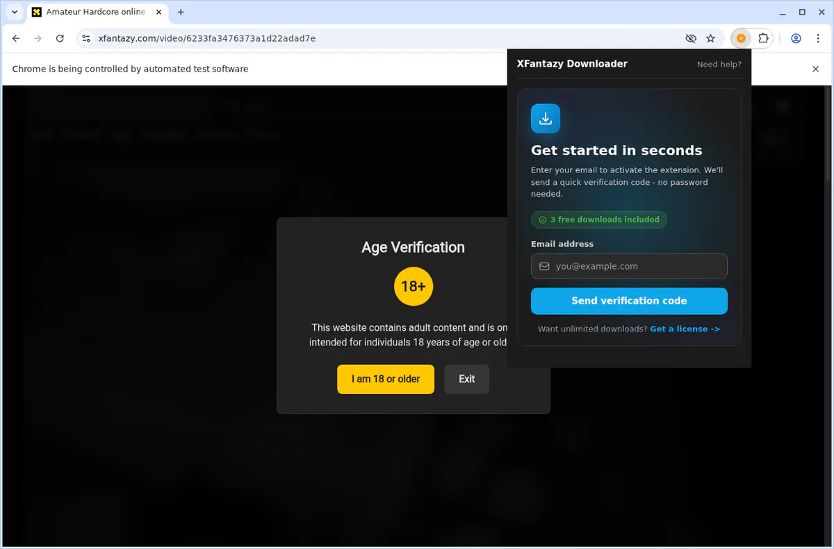 XFantazy Video Downloader screenshot 6
